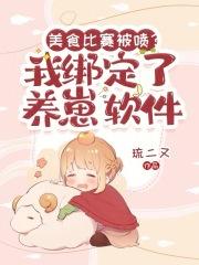 不修仙了什么意思