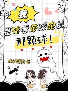 司徒大人是什么官