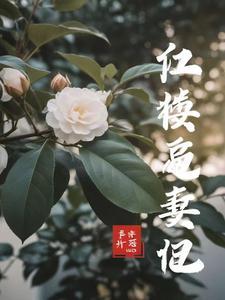穿越之上神为奴免费阅读