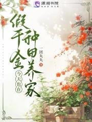 这个军阀太奇怪by
