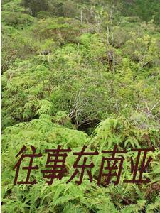 大唐寒门弃子