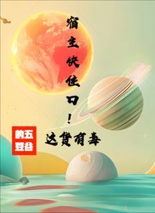 大宋小王爷