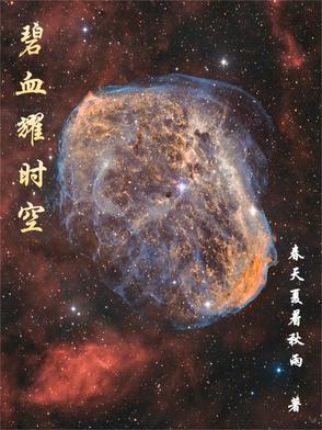 芝加哥 警察