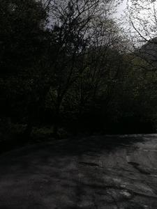 大佬退休后的休闲生活